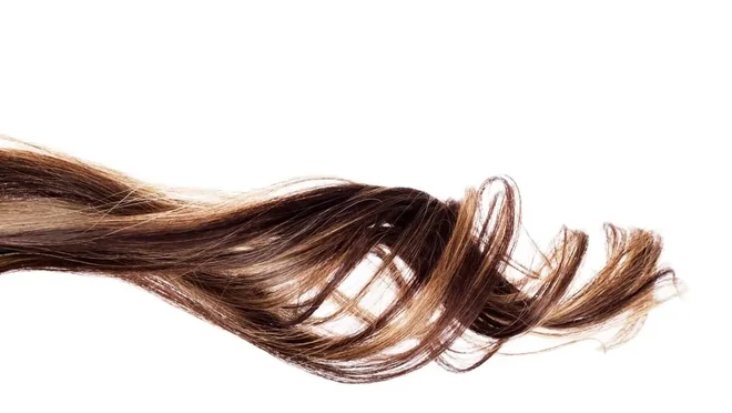 haarstrang-mobiler-friseur-dresden-umgebung-webp